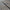 One-Handed Combat Spear with Safety Tip – Hand-Forged Spring Steel (Used)