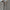 Linen Padded Gambeson – Short Sleeve, Early Medieval (Used)